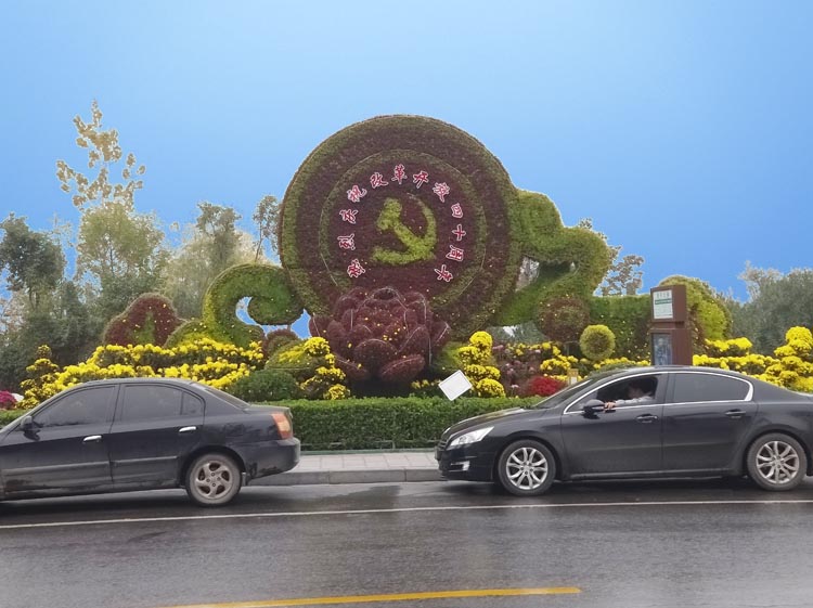46.jpg