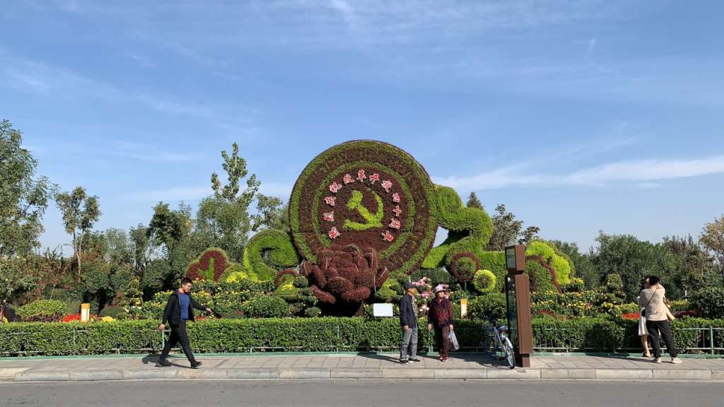 97.jpg