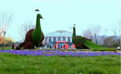 QQ截图20240317170311.jpg