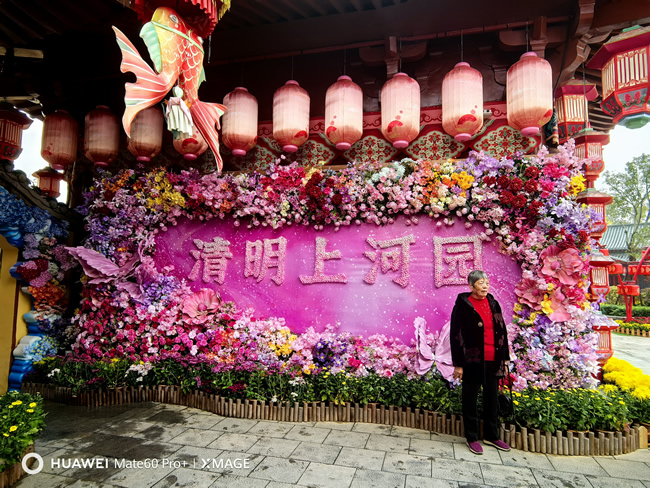 2025年清明上河园第十四届国际菊花展